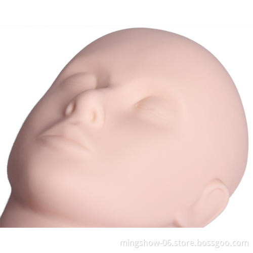 Wholesale Professional Grafting Eyelash Extension Practice Training Mannequin Head